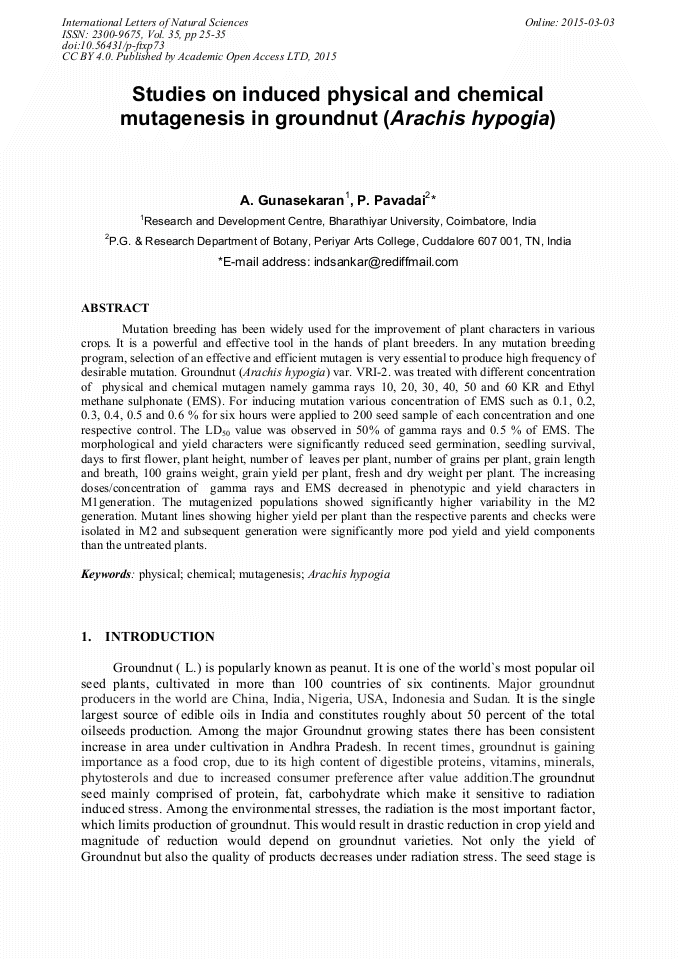 Article Preview