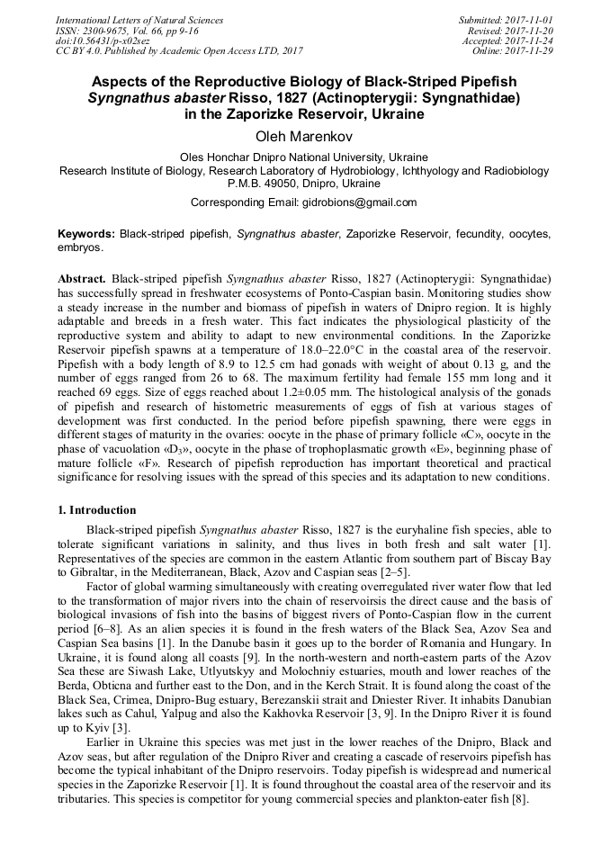 Article Preview