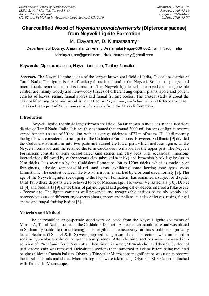 Article Preview