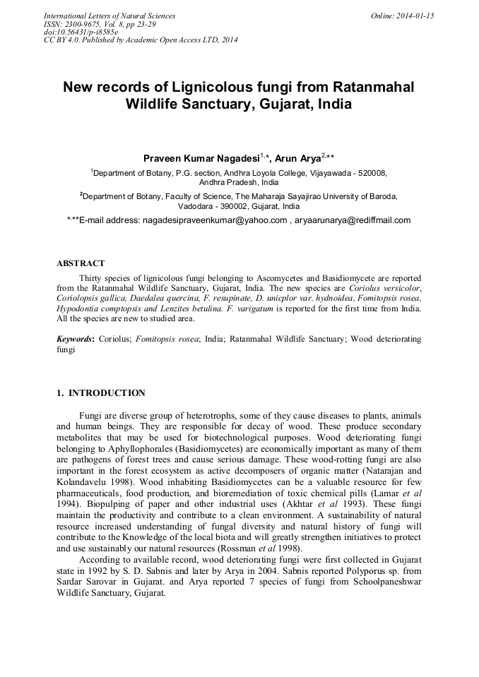 Article Preview